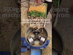 500 kg/ώρα Μηχανή παραγωγής σφαιριδίων για ζωοτροφές Μηχανή επεξεργασίας ζωοτροφών