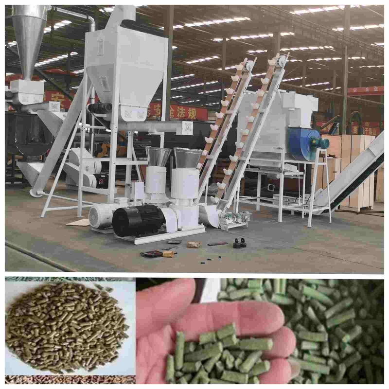 2ton/H αυτόματη μηχανή 2.5mm σβόλων πουλερικών σβόλος που κατασκευάζει τη μηχανή για την τροφή πουλερικών
