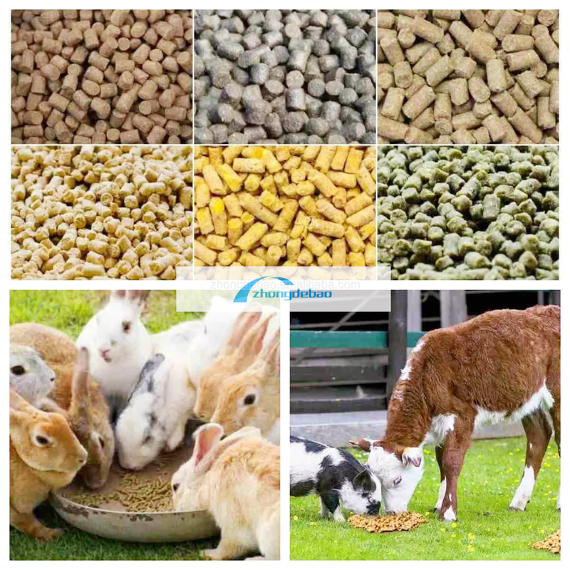 600-800 KG/H απόδοση ιχθυοτροφική μονάδα ζωοτροφών σκύλων και γάτων εξοπλισμός τροφίμων με σφαιρίδια