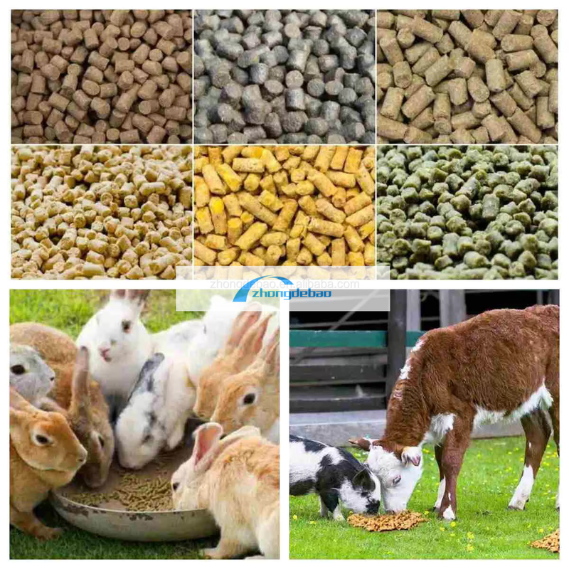 300-400 KG/H Μηχανή πελετών τροφίμων για ζώα με υψηλή παραγωγικότητα Μηχανή πελετών τύπου ντίζελ